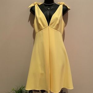 LIKELY Fit and Flare dress